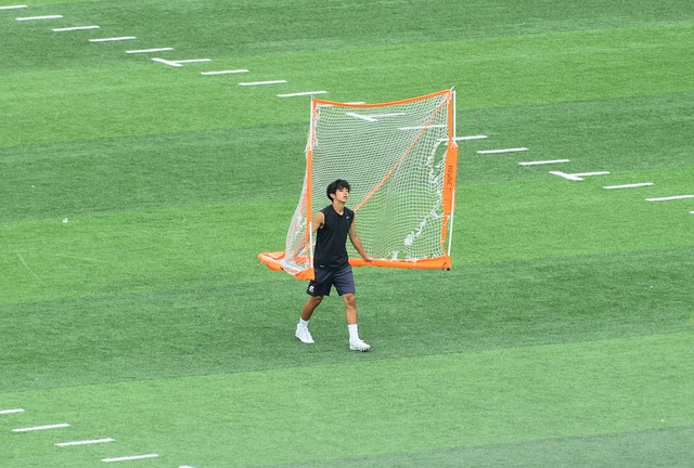 均已回归球